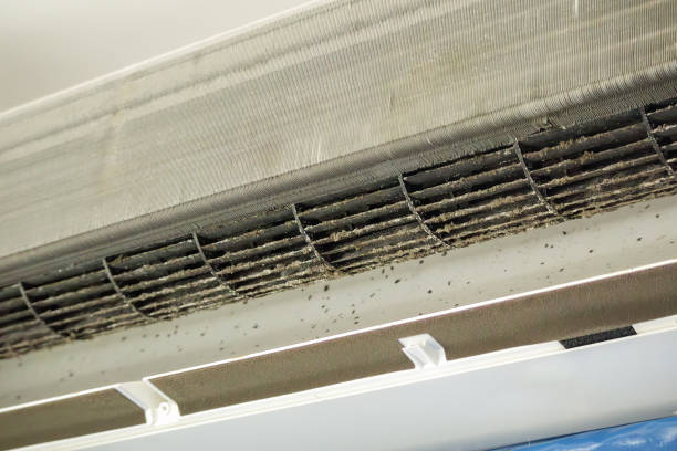 Best Emergency Air Duct Cleaning  in South Corning, NY